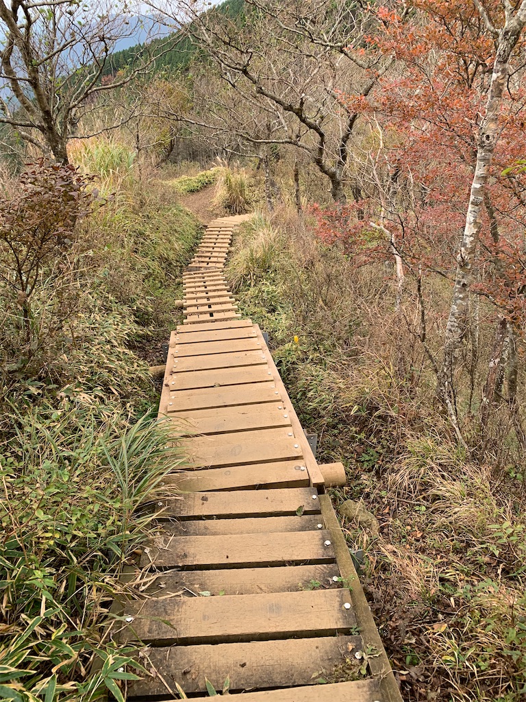 f:id:makaron1104:20211103215246j:plain