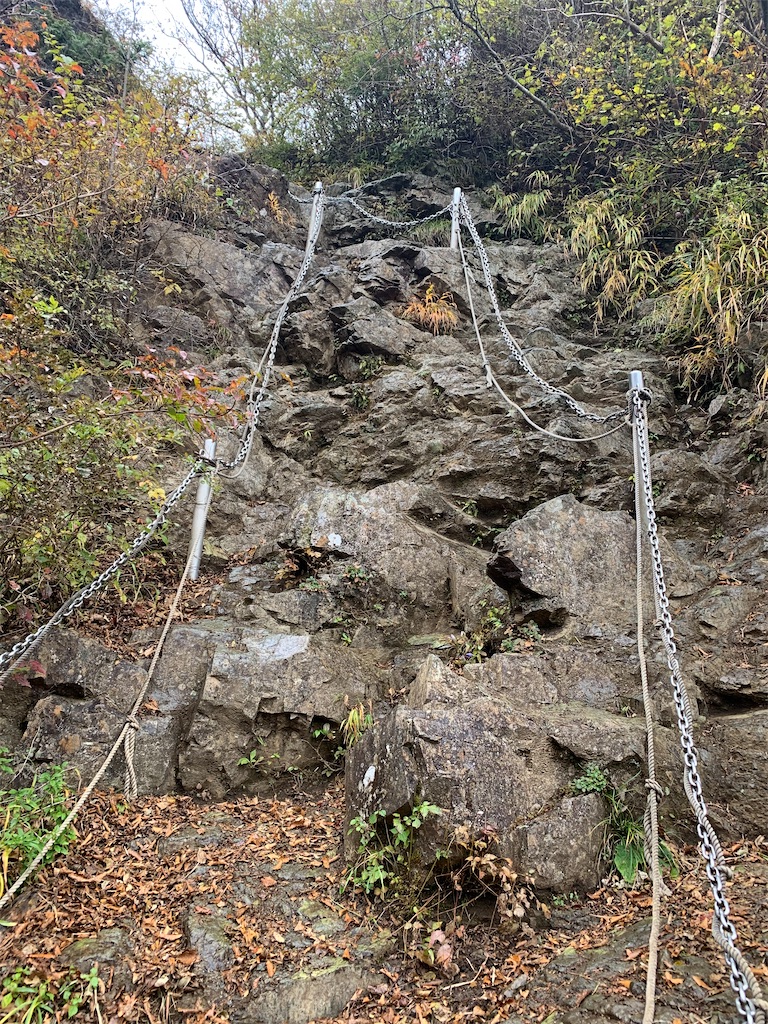 f:id:makaron1104:20211104055814j:plain