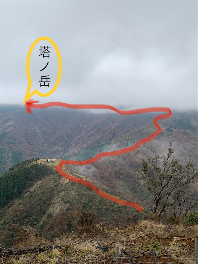 f:id:makaron1104:20211106225621j:plain