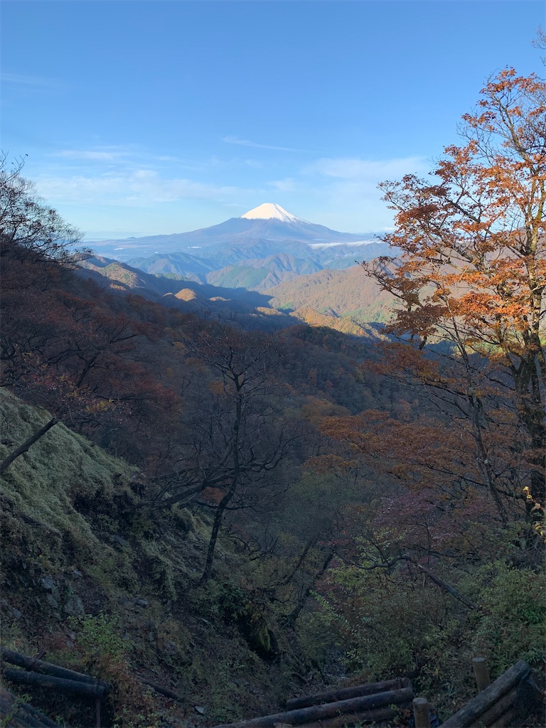 f:id:makaron1104:20211108003334j:plain