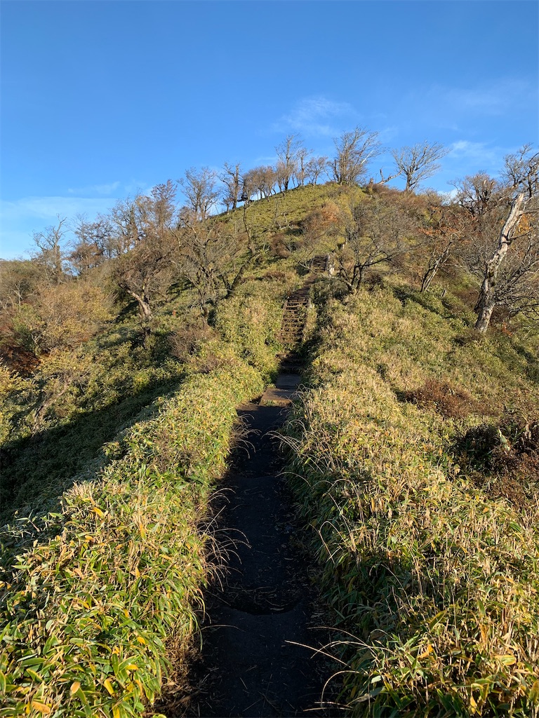 f:id:makaron1104:20211108194132j:plain