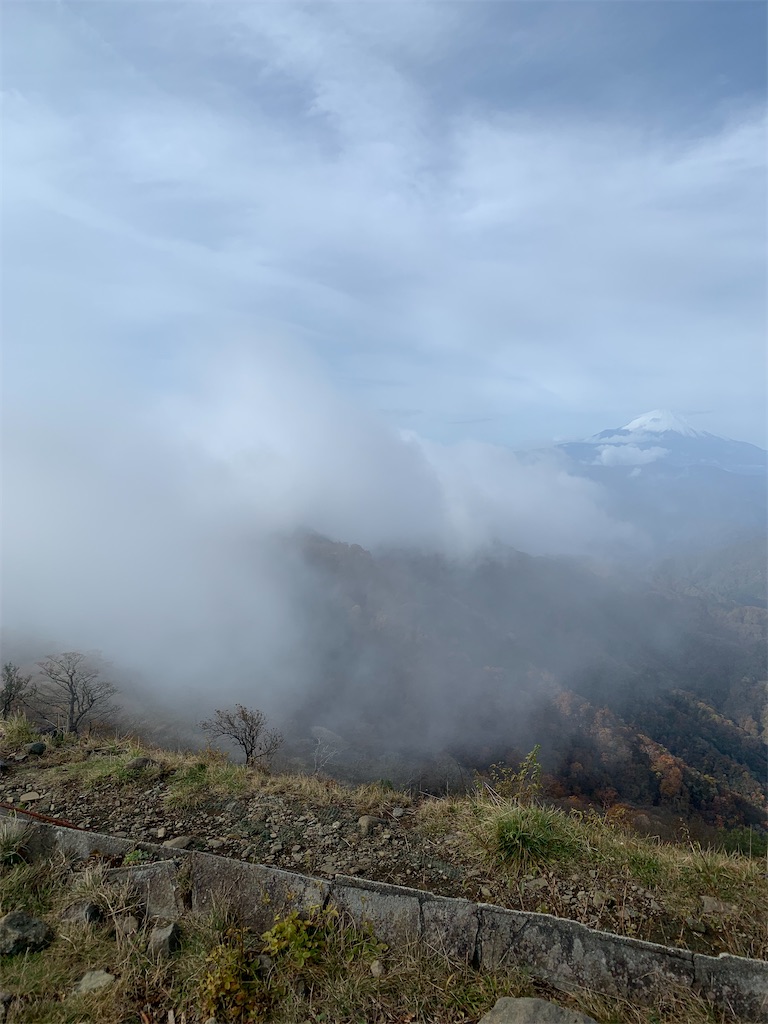 f:id:makaron1104:20211108194224j:plain