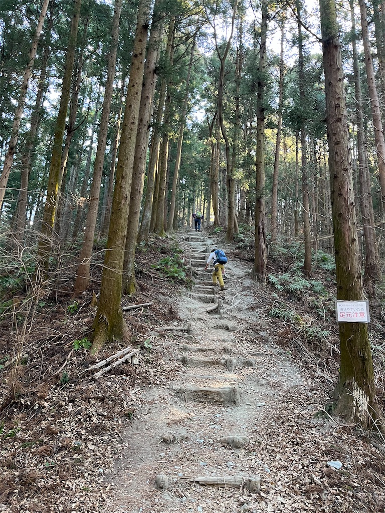 f:id:makaron1104:20220111065254j:plain