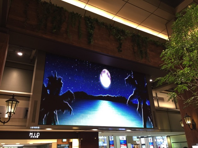 IMG_0716.JPG IMG