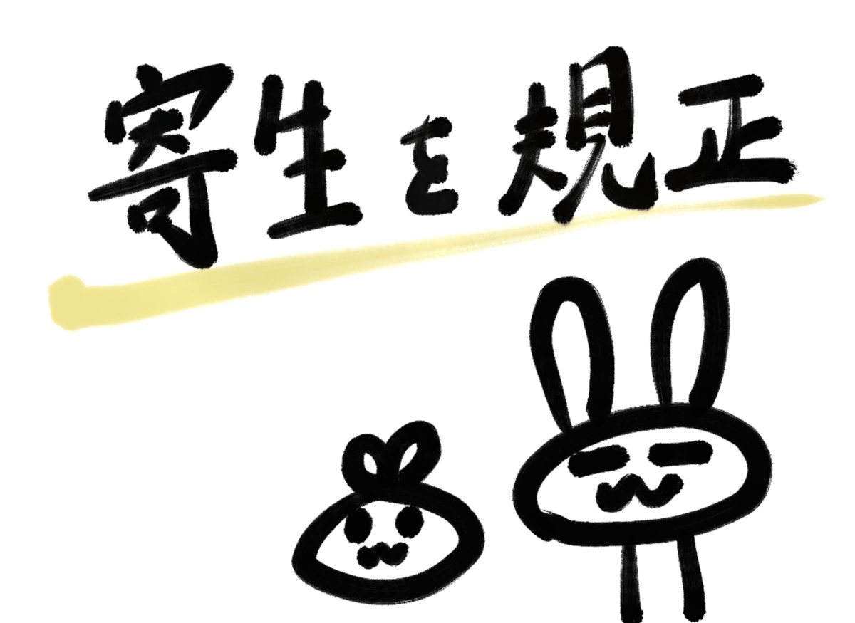 f:id:make_usagi:20201229195038j:plain