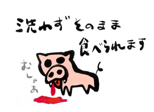 f:id:make_usagi:20240213082742j:image f:id:make_usagi:20240213082742j:image