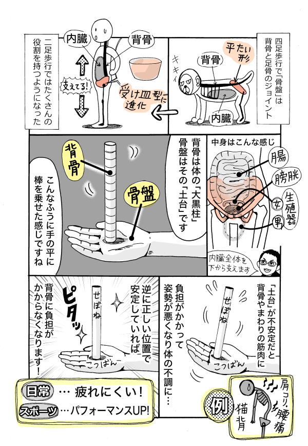 f:id:makebody:20190103204604j:plain