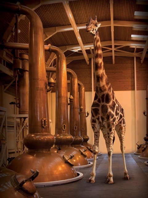 f:id:makersmark3565:20201226121223j:image