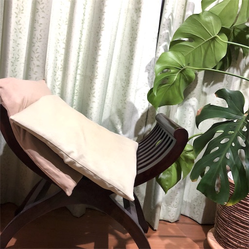 f:id:maki-is-simple:20181121114047j:image