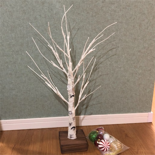f:id:maki-is-simple:20181206105453j:image