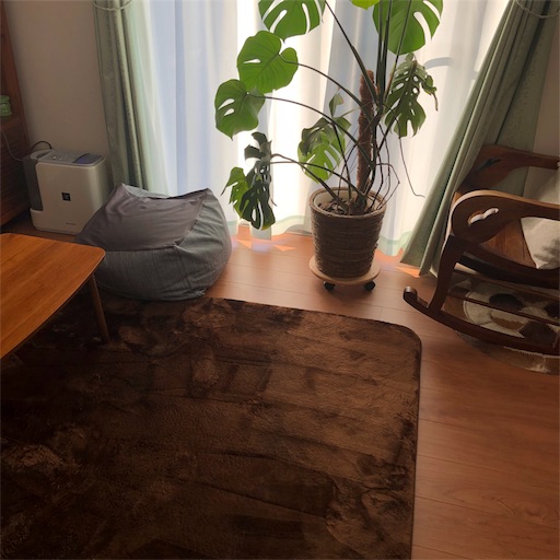 f:id:maki-is-simple:20190118112415j:image