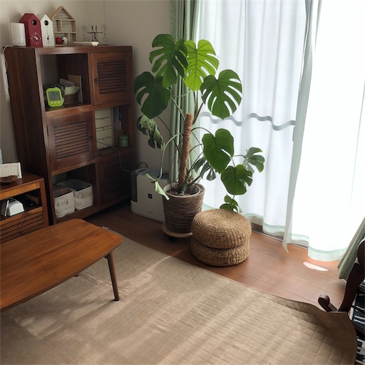 f:id:maki-is-simple:20190119000256j:image