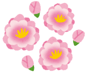 f:id:maki-is-simple:20190302171458p:plain f:id:maki-is-simple:20190302171458p:plain