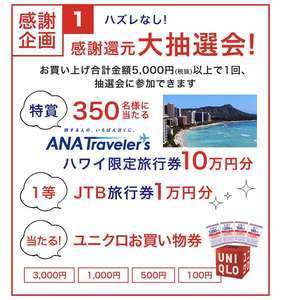 f:id:maki-is-simple:20190528121758j:plain