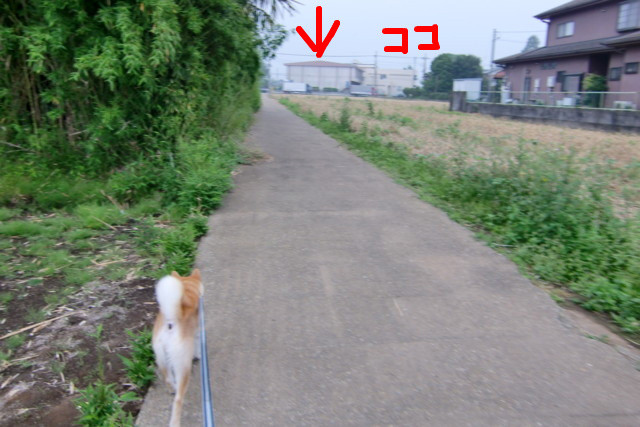 f:id:maki-mama:20090610151145j:image:w300