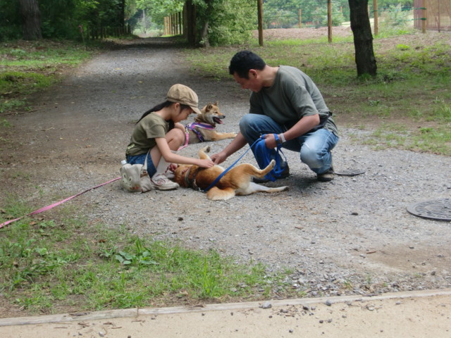f:id:maki-mama:20090614192101j:image:w300