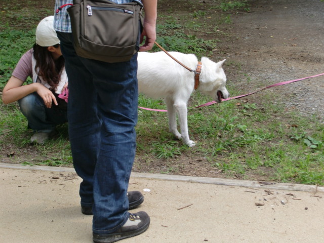 f:id:maki-mama:20090614192103j:image:w300