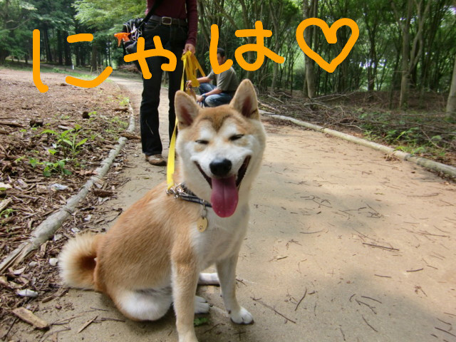 f:id:maki-mama:20090614192104j:image:w300