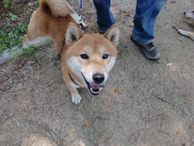 f:id:maki-mama:20090614192107j:image:w300
