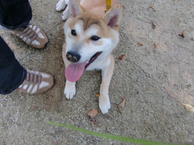 f:id:maki-mama:20090615074910j:image:w300