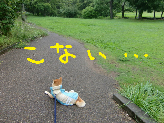 f:id:maki-mama:20090630100800j:image:w300 f:id:maki-mama:20090630100800j:image:w300