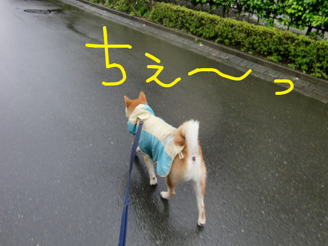 f:id:maki-mama:20090630100802j:image:w300 f:id:maki-mama:20090630100802j:image:w300