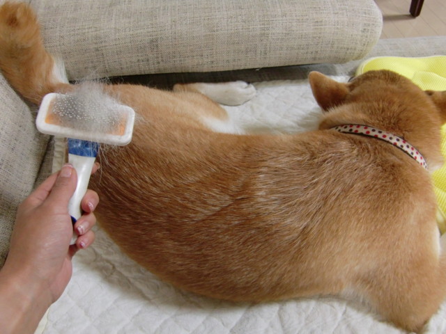 f:id:maki-mama:20090701105340j:image:w300 f:id:maki-mama:20090701105340j:image:w300