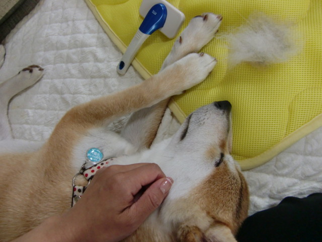f:id:maki-mama:20090701105341j:image:w300 f:id:maki-mama:20090701105341j:image:w300