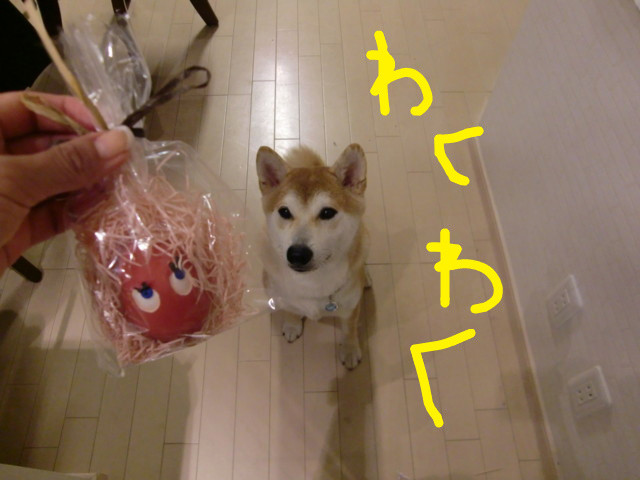 20090917122321