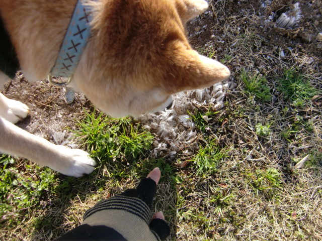 f:id:maki-mama:20100331211332j:image:w300 f:id:maki-mama:20100331211332j:image:w300