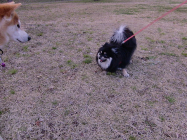 f:id:maki-mama:20100331211334j:image:w300 f:id:maki-mama:20100331211334j:image:w300