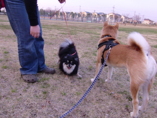 f:id:maki-mama:20100331211335j:image:w300 f:id:maki-mama:20100331211335j:image:w300