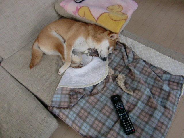f:id:maki-mama:20100331214251j:image:w300 f:id:maki-mama:20100331214251j:image:w300