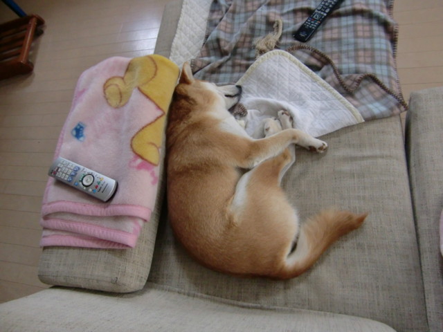 f:id:maki-mama:20100331214252j:image:w300 f:id:maki-mama:20100331214252j:image:w300