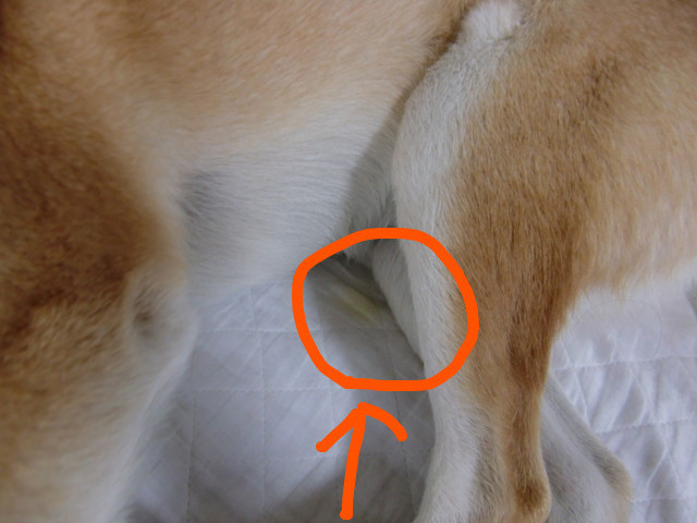 f:id:maki-mama:20100401120141j:image:w300 f:id:maki-mama:20100401120141j:image:w300