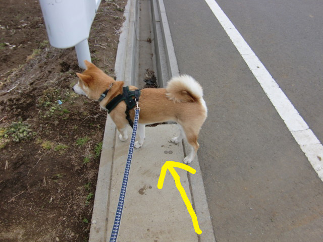 f:id:maki-mama:20100401120145j:image:w300 f:id:maki-mama:20100401120145j:image:w300