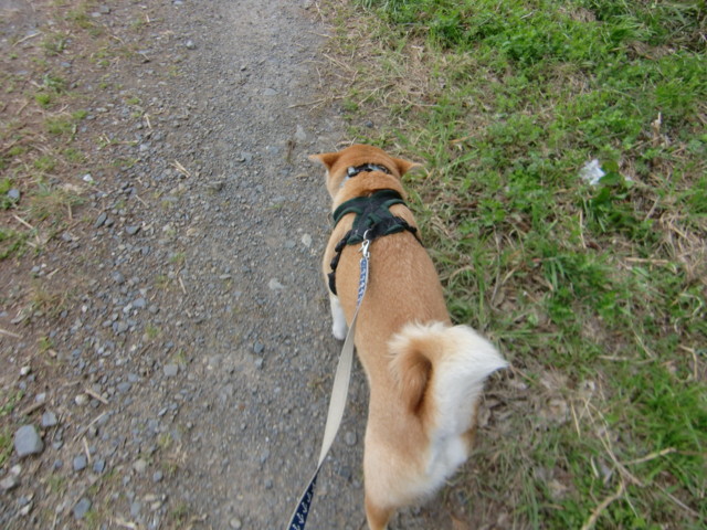 f:id:maki-mama:20100402121817j:image:w300 f:id:maki-mama:20100402121817j:image:w300