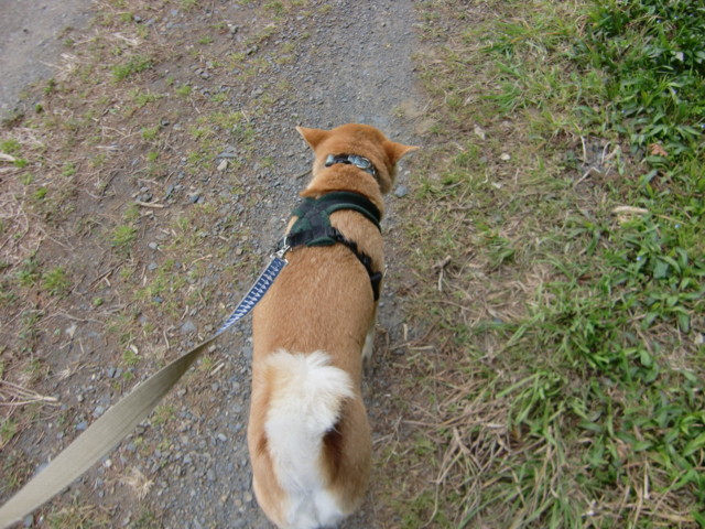 f:id:maki-mama:20100402121818j:image:w300 f:id:maki-mama:20100402121818j:image:w300