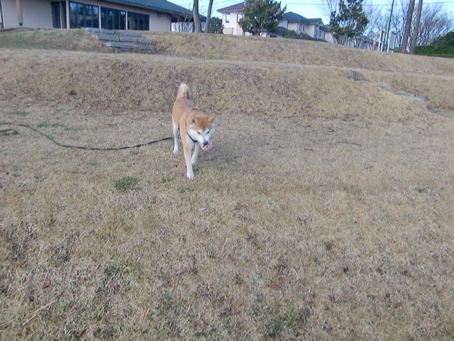 f:id:maki-mama:20100402123341j:image:w300 f:id:maki-mama:20100402123341j:image:w300