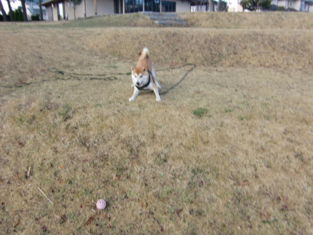 f:id:maki-mama:20100402123342j:image:w300 f:id:maki-mama:20100402123342j:image:w300