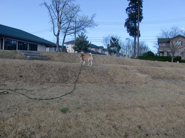 f:id:maki-mama:20100402123343j:image:w300 f:id:maki-mama:20100402123343j:image:w300
