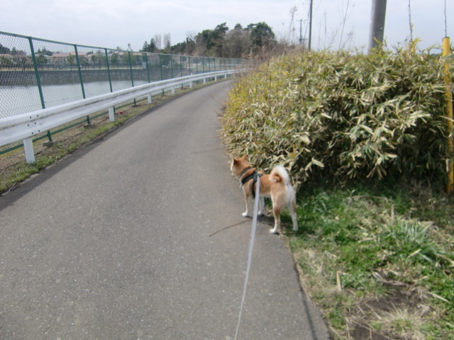 f:id:maki-mama:20100403114949j:image:w300 f:id:maki-mama:20100403114949j:image:w300