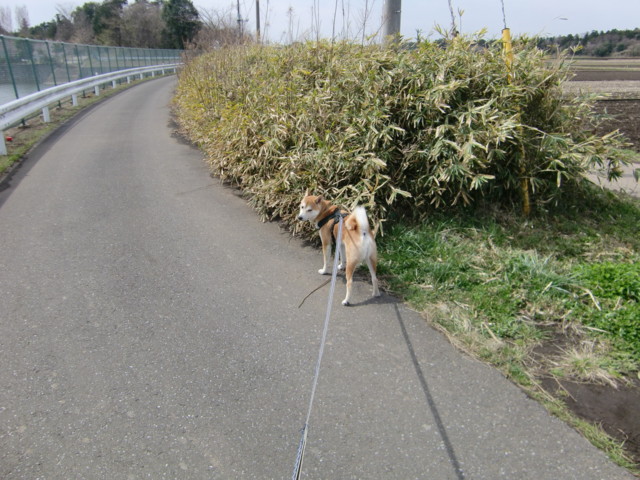 f:id:maki-mama:20100403114950j:image:w300 f:id:maki-mama:20100403114950j:image:w300