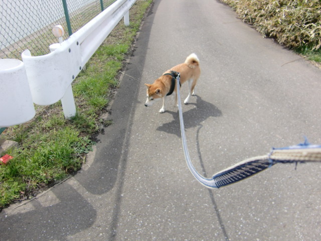 f:id:maki-mama:20100403114951j:image:w300 f:id:maki-mama:20100403114951j:image:w300