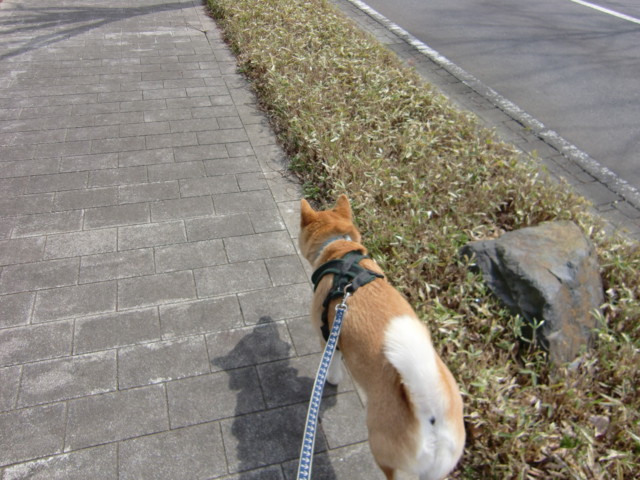 f:id:maki-mama:20100403114952j:image:w300 f:id:maki-mama:20100403114952j:image:w300