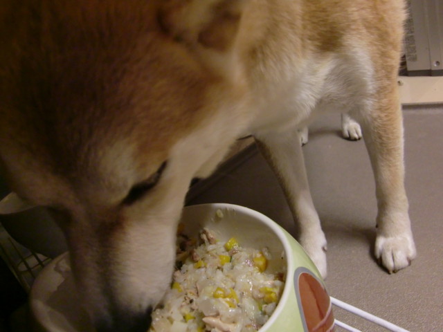 f:id:maki-mama:20100404233353j:image:w300 f:id:maki-mama:20100404233353j:image:w300