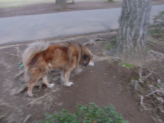 f:id:maki-mama:20100404233355j:image:w300 f:id:maki-mama:20100404233355j:image:w300