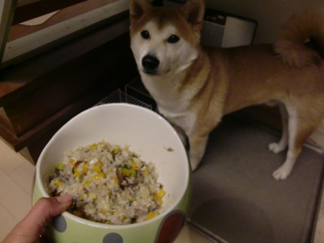 f:id:maki-mama:20100404233356j:image:w300 f:id:maki-mama:20100404233356j:image:w300