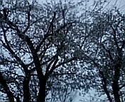f:id:maki-no:20100402223051j:image f:id:maki-no:20100402223051j:image