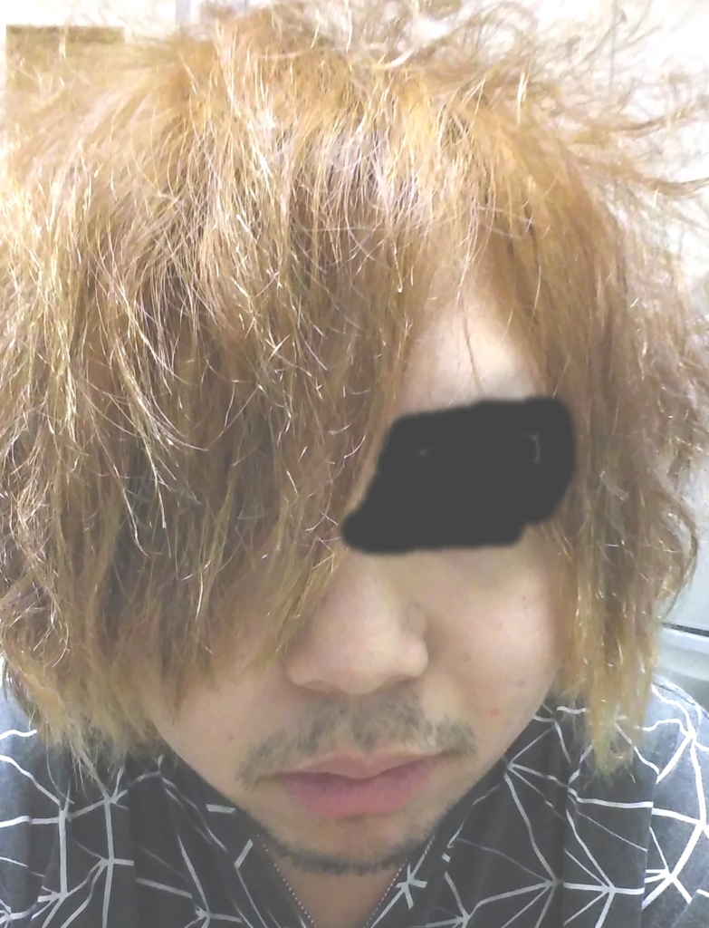 f:id:maki-satoru:20170528215202j:plain f:id:maki-satoru:20170528215202j:plain